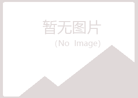 环县夏日化学有限公司